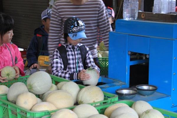 きたやさいブログ きたやさい ホクレン農業協同組合連合会