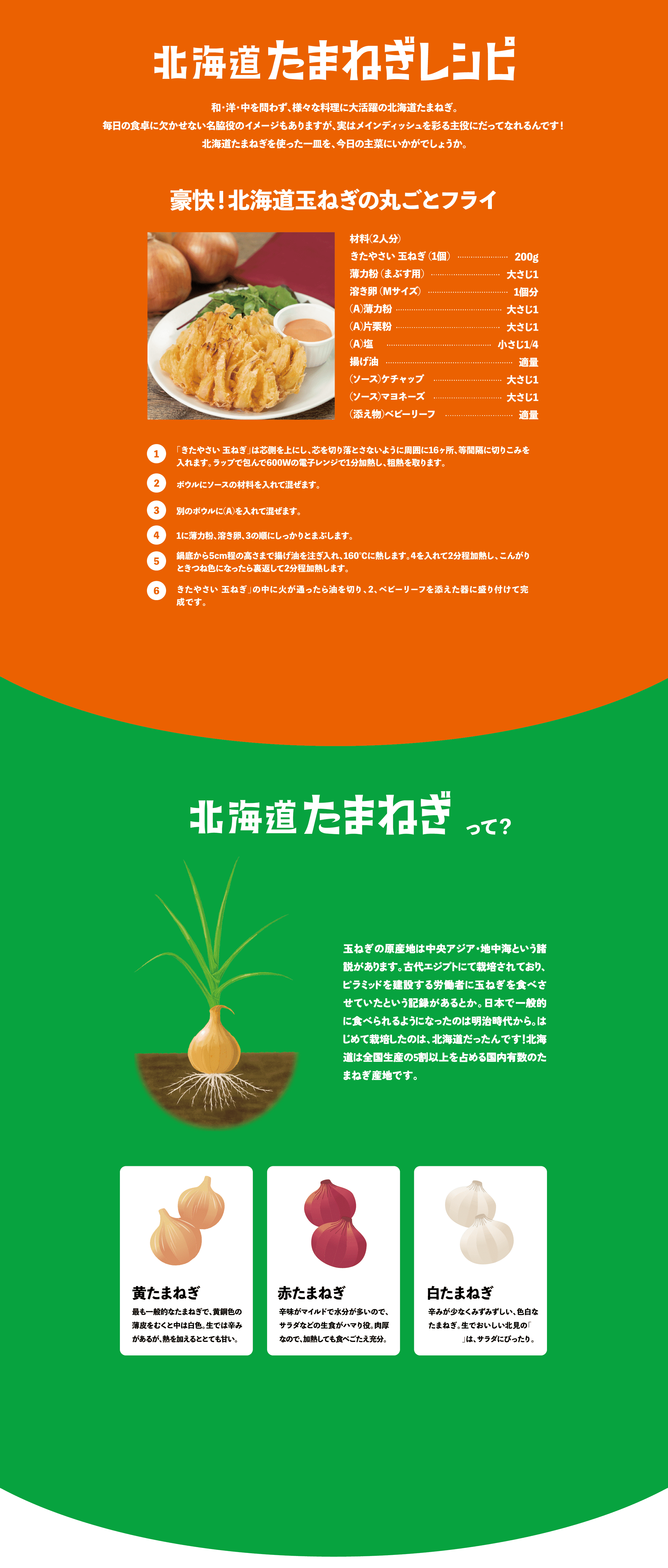 北海道たまねぎレシピ　北海道たまねぎって？