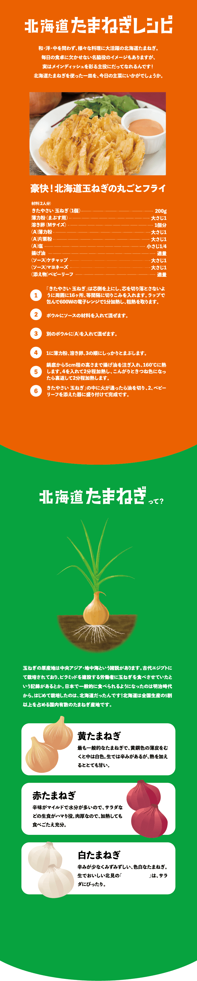 北海道たまねぎレシピ　北海道たまねぎって？