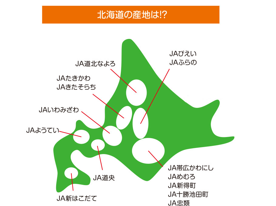 北海道の産地は!?
JA道北なよろ
JA北ひびき
JAびえい
JAふらの
JAたきかわ
JAきたそらち
JAいわみざわ
JAそらち南
JAようてい
JA道央
JA新はこだて
JAところ
JAこしみず
JA帯広かわにし
JAめむろ
JA新得町
JA十勝池田町
JA忠類