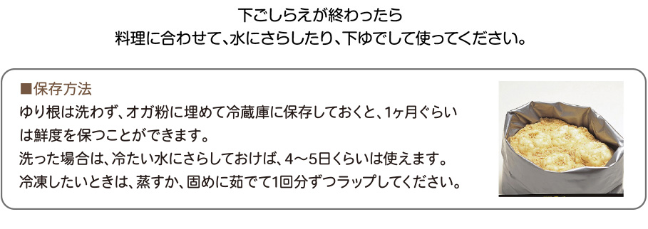 下ごしらえが終わったら料理に合わせて、水にさらしたり、下ゆでして使ってください。

■保存方法
ゆり根は洗わず、オガ粉に埋めて冷蔵庫に保存しておくと、1ヶ月ぐらいは鮮度を
保つことができます。
洗った場合は、冷たい水にさらしておけば、4〜5日くらいは使えます。
冷凍したいときは、蒸すか、固めに茹でて1回分ずつラップしてください。