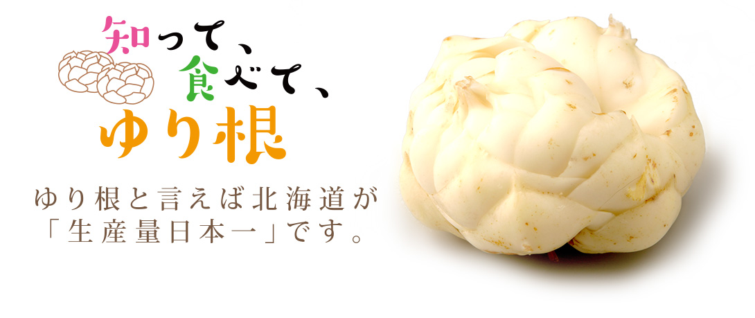 知って、食べて、ゆり根　ゆり根と言えば北海道が「生産量日本一」です。